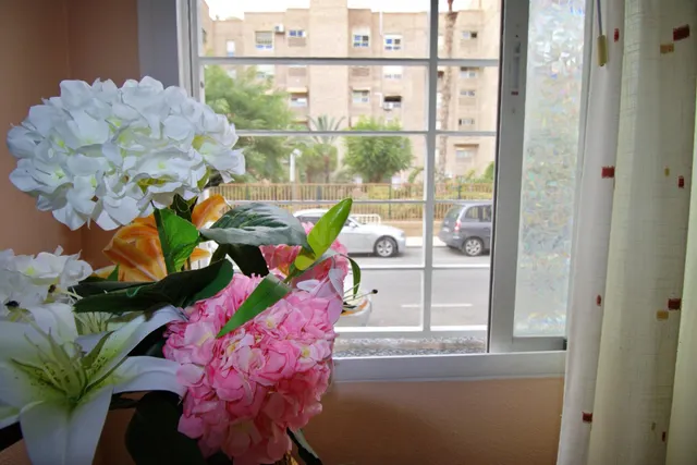 PLANTA BAJA SEMINUEVA