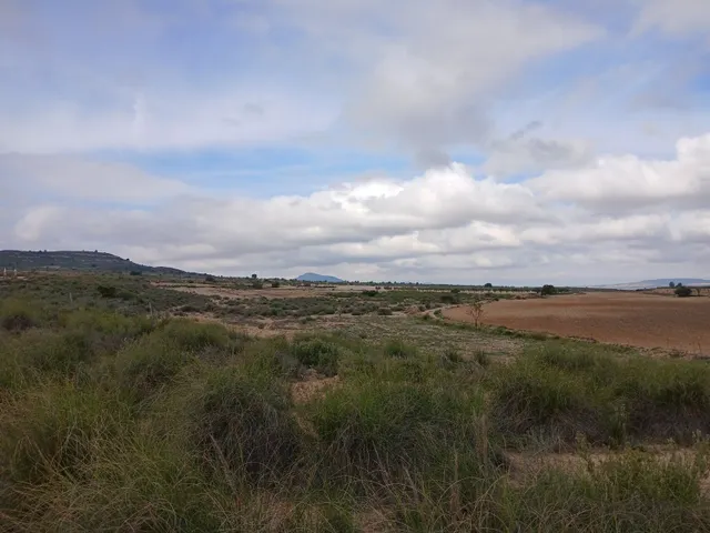 Parcela en venta - Yecla — 10
