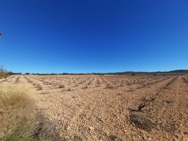 FINCA RÚSTICA EN ALMANSA — 9