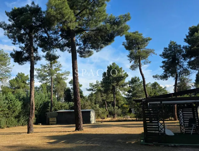 Chalet en venta en Segovia con piscina cubierta y 2.600 m2 — 9