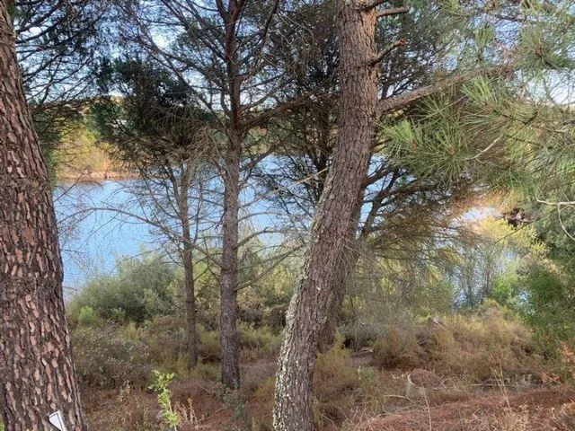 ZONA LAS JARAS. Parcela de terreno de 1154 m2 con punto de l - foto 4