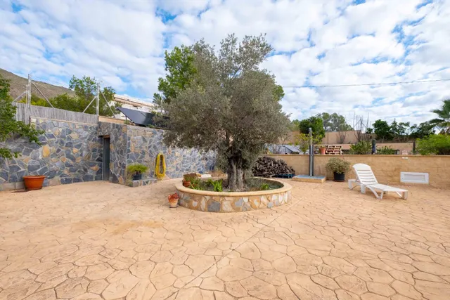 Preciosa finca Chalet con 4 dormitorios y 3.000 m2 de parcela vallada en la Robella — 16