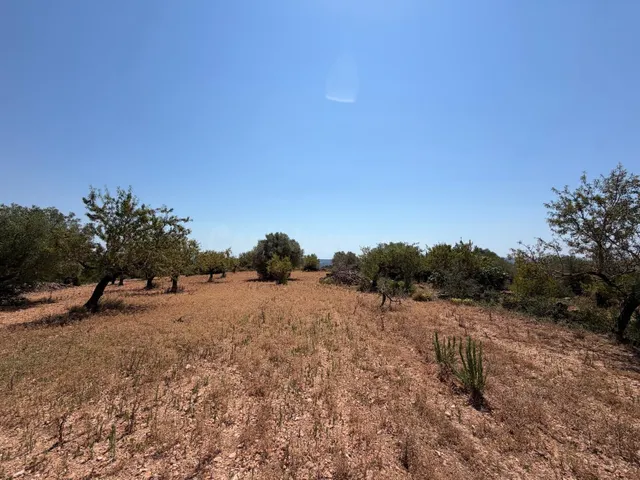 Terreno rural en venta - Comunidad valenciana - foto 3
