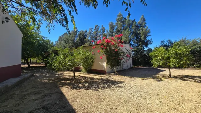 Magnífica casa de campo con piscina y vistas a Moguer, en finca de casi 15.000 m2 — 38