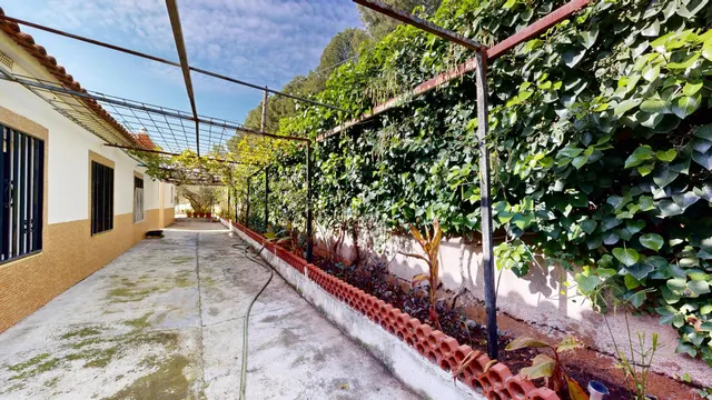 CHALET URBANO EN L ALCORA CASTELLÓN — 31