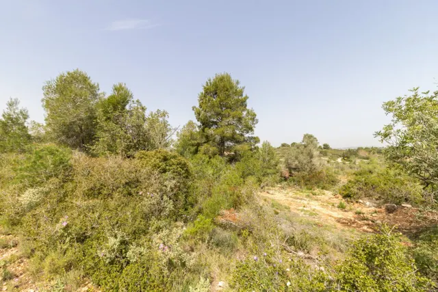 PARCELA ECONÓMICA EN MONSERRAT, EN LA URBANIZACIÓN COLINAS VENTA CABRERA. — 4