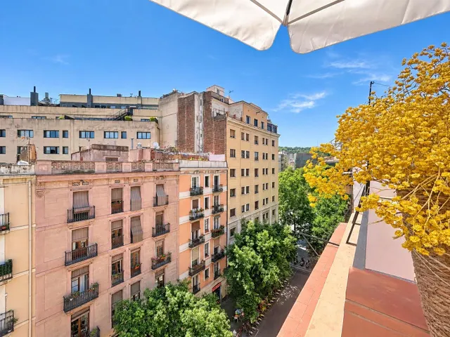 Magnífico ático con gran terraza y vistas despejadas – Carrer de Sant Pau, Barcelona — 17