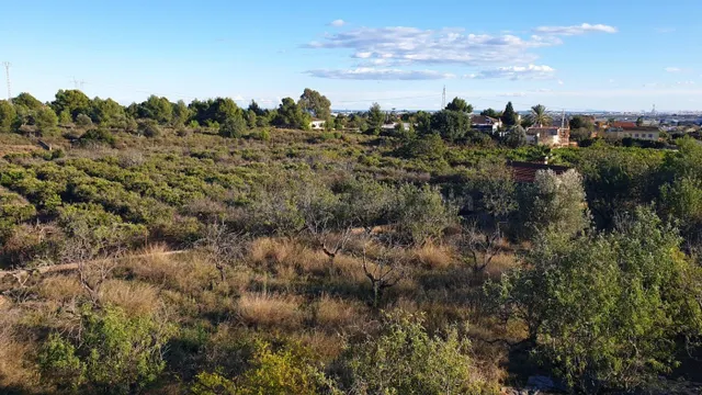 Parcela en venta - El Corralet - Bonanza - Tres Rutas - foto 3