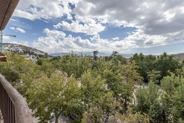 Pisazo en paseo del salón - Granada — 2