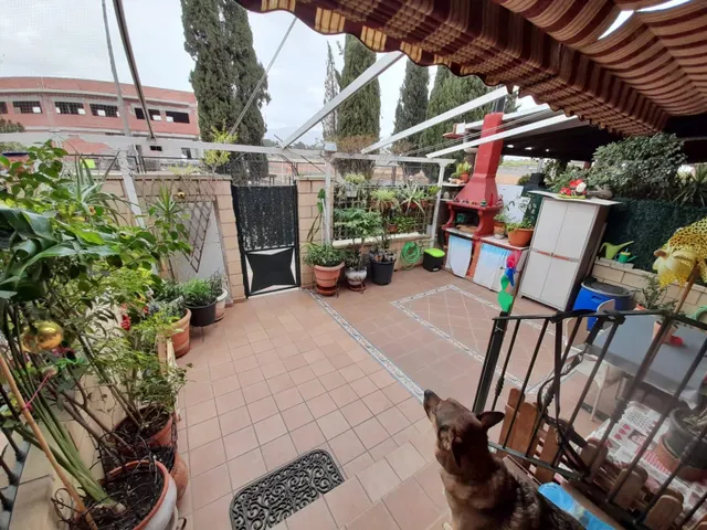 Adosado de 4 habitaciones en el Albatera junto a colegios — 3