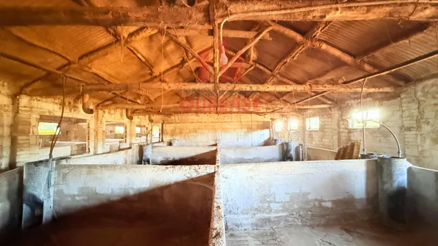Oportunidad de inversión: nave con parcela en San Cristovo de Cea (Ourense) — 7