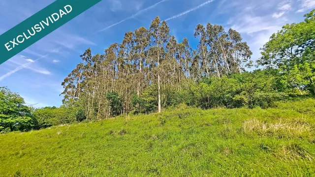 Más de una hectárea de Asturias, una cabaña de piedra y todo el valle por delante. — 18