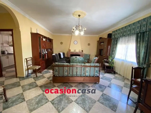 Espectacular parcela con casa, piscina y olivos — 9