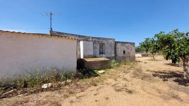 Tu Refugio Natural a un Paso de la Ciudad: ¡Transforma y Crea! — 32