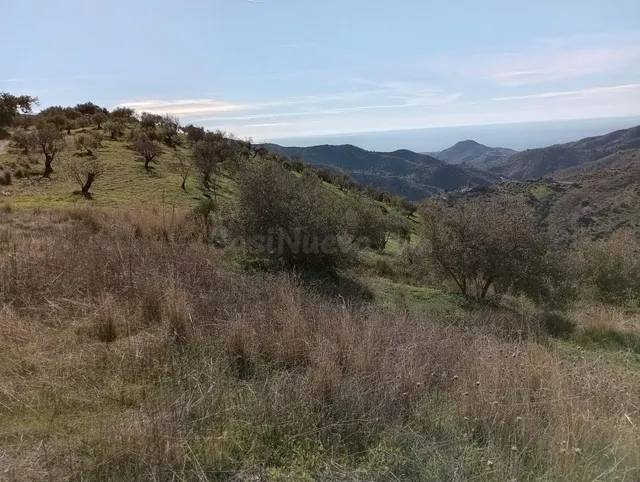 Terreno Rústico con Vistas Espectaculares en Totalán – Gran  - foto 3