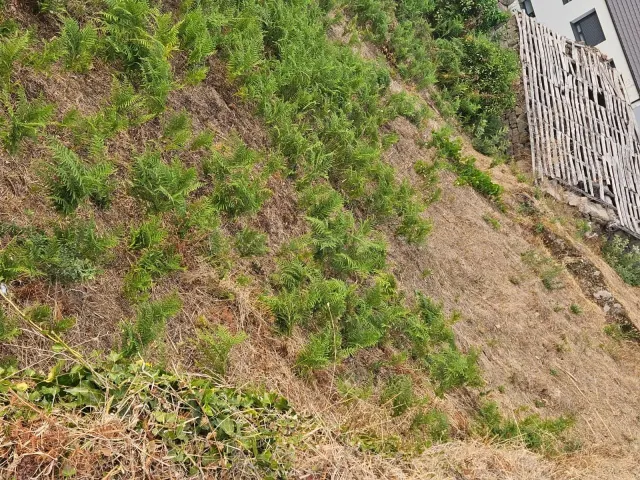 OPORTUNIDAD!!! SE VENDE CASA EN SAN SALVADOR- PEREIRO DE AGU - foto 3
