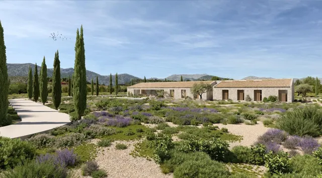 Terreno con proyecto y licencia para villa de lujo en Alcúdi - foto 4