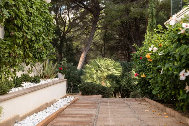 Villa ecológica de lujo en Santa Ponsa — tecnología, elegancia y naturaleza en perfecta armonía — 40