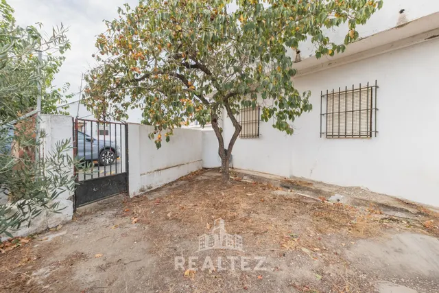 Venta Las Flores – A 2 km del Circuito de Jerez — 37