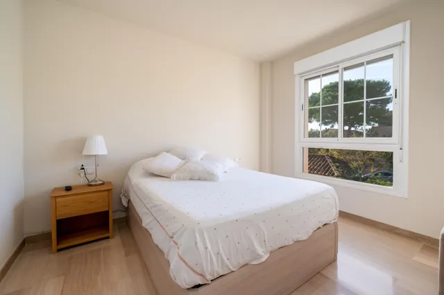 Ático exclusivo con vistas panorámicas, gran terraza y acceso directo al Bosque de Bellver — 12