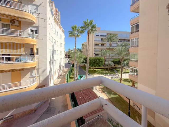 Playa de los locos! Amplio apartamento (2007) con gran terraza y vistas al Palmeral (220 mts playa) — 8