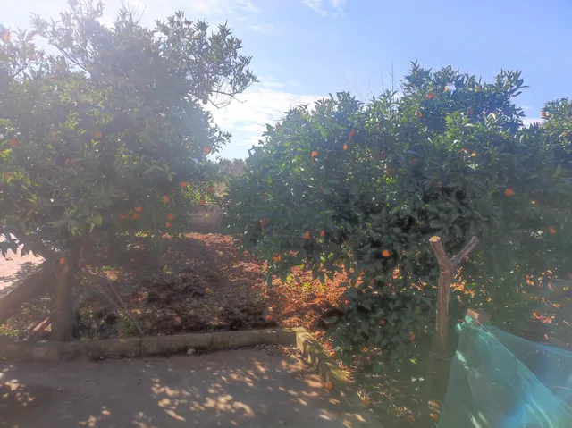 Maravillosa casa de campo — 18