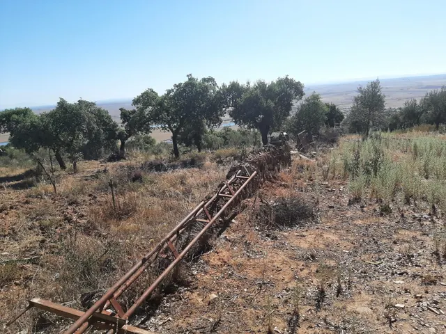 Precioso Olivar en Sierra de Fuentes - foto 5
