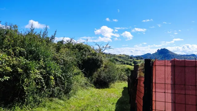 Construye tu hogar en el corazón de la naturaleza - foto 2