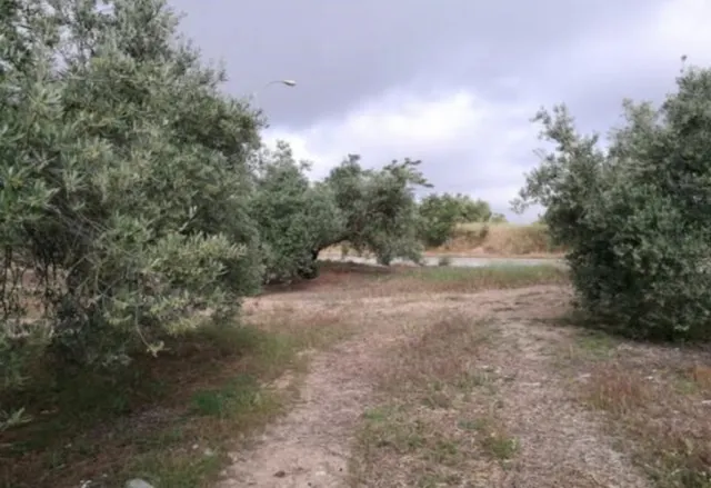13.000M2 de suelo urbano en Martos para edificación plurifamiliar y comercial — 7