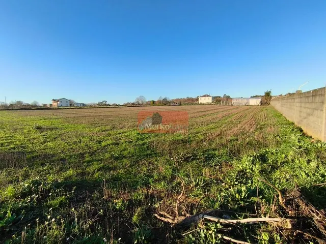 SE VENDE FINCA EDIFICABLE PARA CHALETS CERCA DE NADELA - foto 2