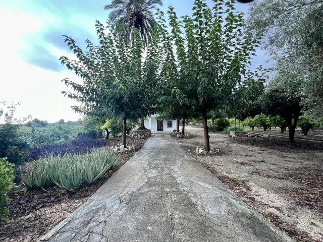 Casa de campo en Ambra en Pego - foto 3