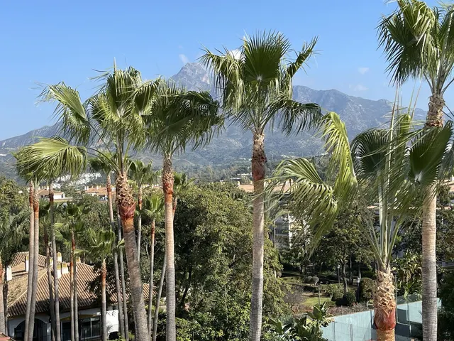 Ático 2 habitaciones 90m² en venta - Marbella - foto 2