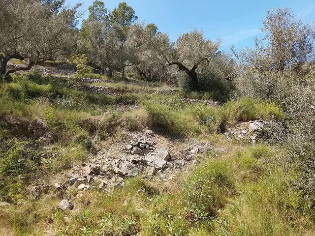 Finca Rústica en Venta en Tortosa - Oportunidad Única por 40 - foto 5