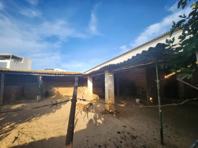 TERRENO URBANO EN EL CENTRO DEL VISO PARA VIVIENDAS UNIFAMILIARES — 7