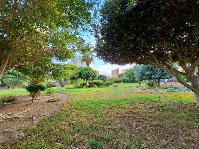 ️ estudio en 14.ª planta con vistas al skyline de Benidorm y al mar, a unos 800 mts. a la playa — 23