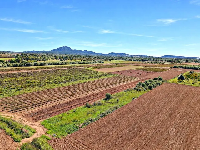 Solar residencial en Venta en Felanitx Baleares — 8