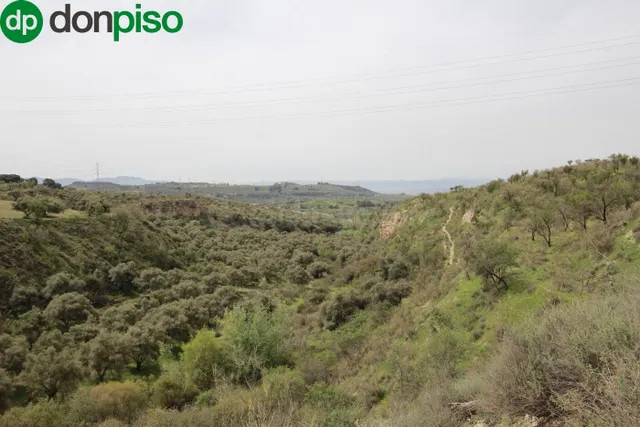 FINCA EN CORTIJO SAN JERÓNIMO (BARTODANO) — 3