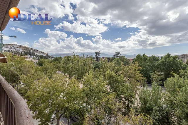 Pisazo en paseo del salón - Granada — 3