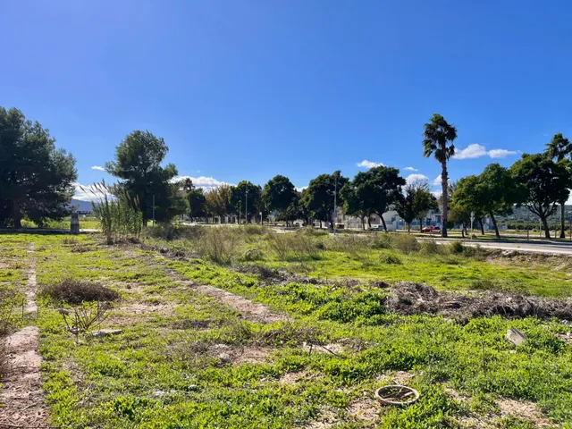 PARCELA A LA VENTA EN ALBERIQUE — 13
