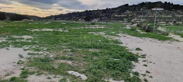 Amplio Terreno Rústico en Aspe - Pedanías Oeste a la Venta - foto 5
