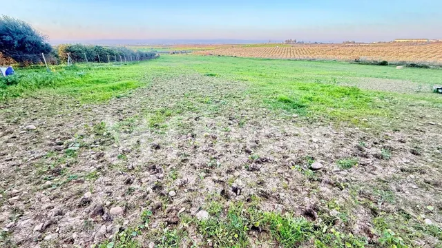 FINCA RÚSTICA EN VENTA EN CARMONA – 18.000 m2 CON POZO – CER