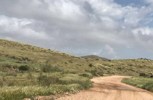 Venta de Suelo Rústico en "Llano Limones - Los Trances", loc - foto 5