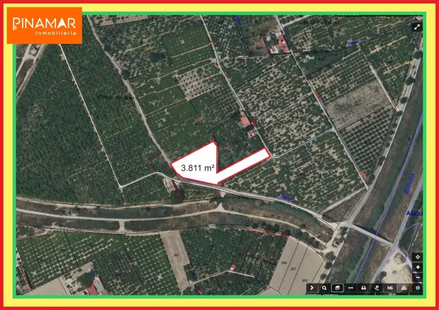 Venta de Parcela en producción de 150 limoneros Ecológicos. - foto 4