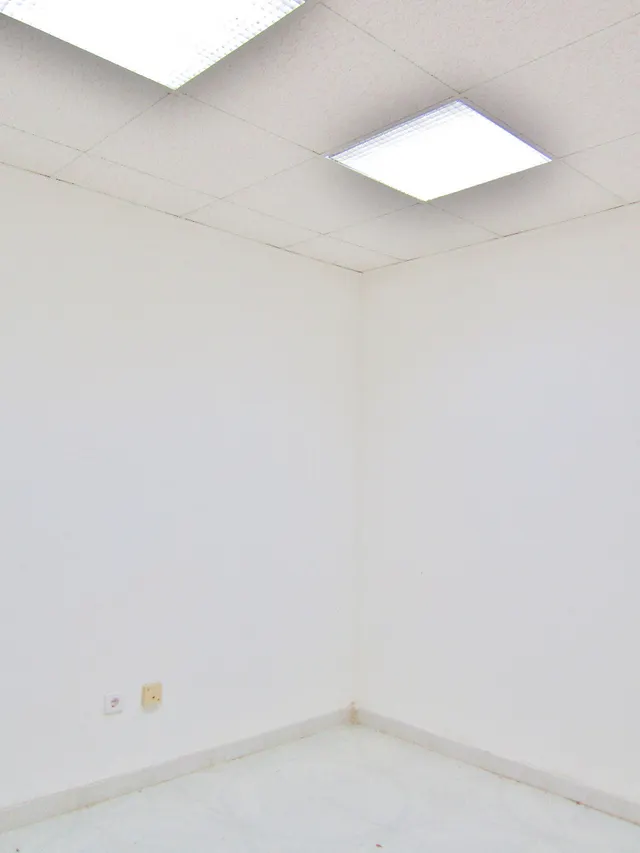 Oportunidad invesores!!! Gran local comercial de 300 metros en la Av. de Denia. — 8
