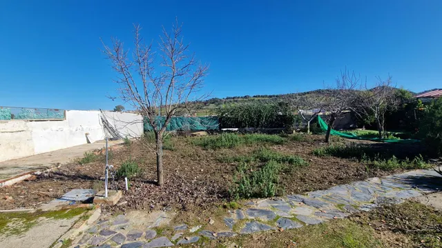 ALQUILER CHALET CON PARCELA EN HIGUERA DE VARGAS — 43