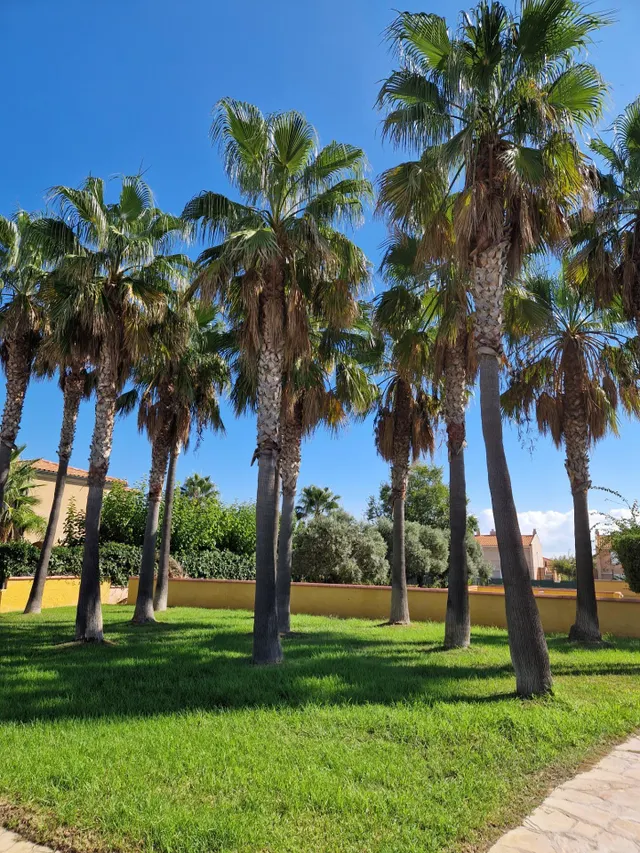 Acogedora Casa Adosada en Miami Platja con Jardín Privado y Piscina Comunitaria — 22