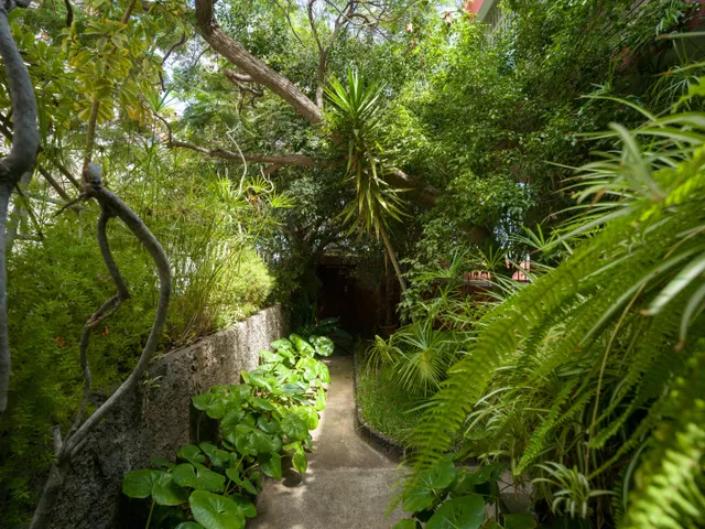 Chalet independiente junto a Paseo de Chil, con jardín, ascensor y vistas a la bahía — 9