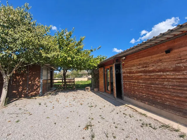 Finca rústica con casita acondicionada y terreno a 500 metros de Manacor — 2