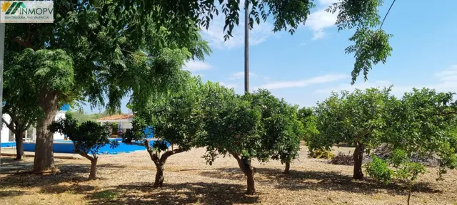 GRAN FINCA RUSTICA EN ZONA DEVESES COSTA NORTE VINAROS - foto 5