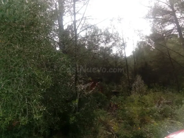 Terreno rural en venta - Can Lloses - Valles Altos - foto 2